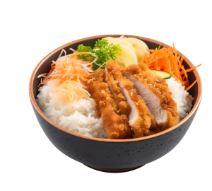 TONKATSU DON